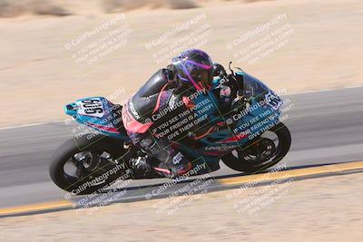 media/Nov-12-2023-SoCal Trackdays (Sun) [[5d1fba4e7d]]/Turn 9 Inside (1050am)/